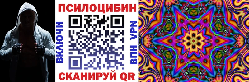 Псилоцибиновые грибы Psilocybine cubensis  Судак 